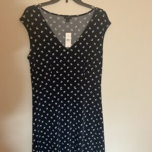 Ann Taylor Factory Navy Dress with White Floral Pattern